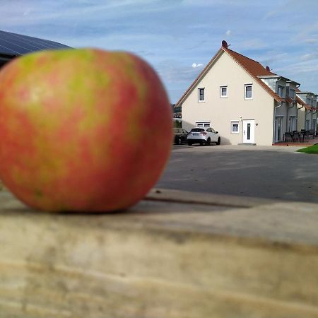 Ferienhof-Dachsberg Wohnung Highlander بيرماتنغن المظهر الخارجي الصورة