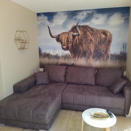 Ferienhof-Dachsberg Wohnung Highlander بيرماتنغن المظهر الخارجي الصورة